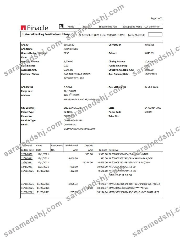 India Finacle bank statement easy to fill template in Excel and PDF format